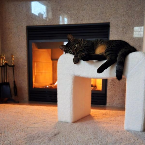 gas fireplace repair